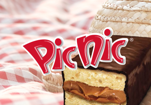 BIZCOCHUELO PIC-NIC 40X30GR.